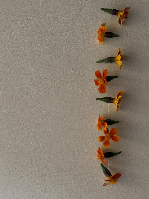 企画展のお知らせ 1月