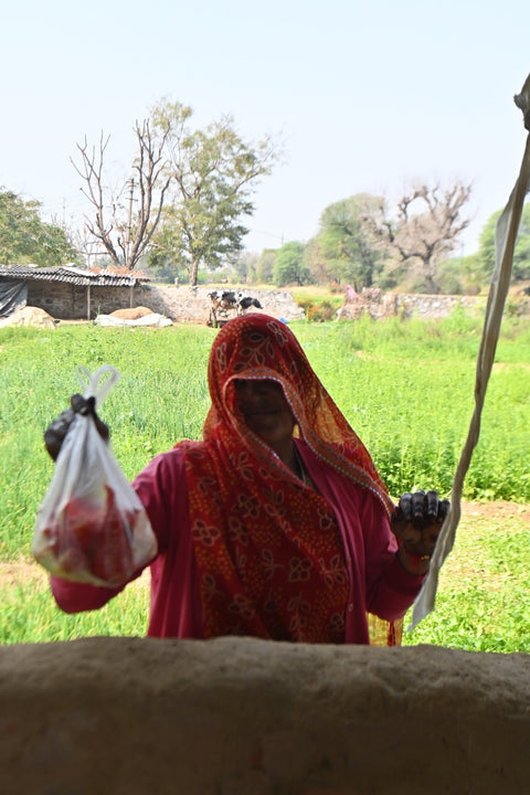 企画展のお知らせ 3月