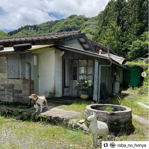 インドの手仕事布と CALICO ＋ fabric camp at ロバの本屋（俵山温泉・山口）