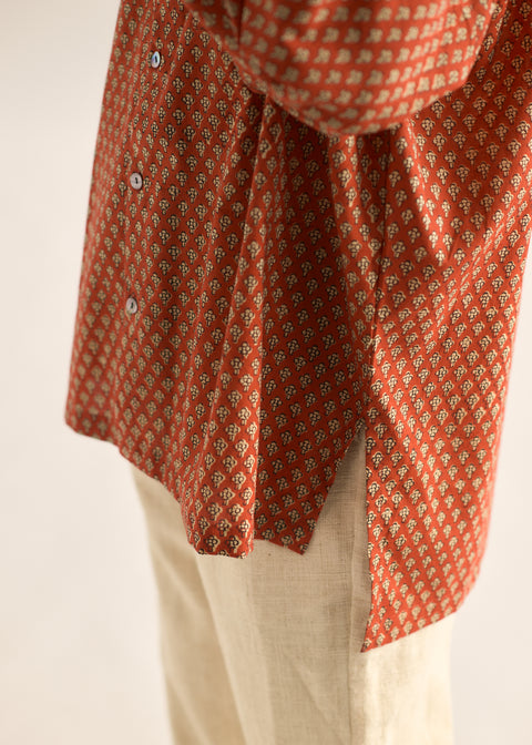 ロングスリーブビッグシャツ　バグループリント